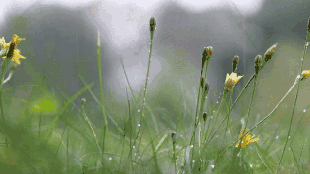 家居装修秘籍——暴雨之后，墙面渗水怎么办？